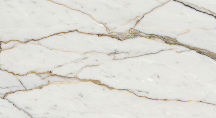 Fototapeta premium A close up of white marble with gold and gray veins running through the stone surface texture design