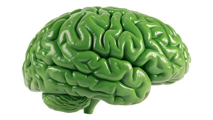 Fototapeta premium green human brain isolated on white