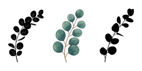 Eucalyptus Branch silhouette set, black branch with herb and plant leaves silhouettes, Black branch with herb and plant leaves silhouettes. Branch with leaves .Vector illustration of silhouette. 