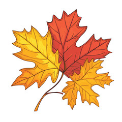 Autumnal Maple Leaves Vector Illustration Featuring Vibrant Fall Colors And Detailed Veins