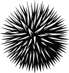 Sea Urchin Silhouette
