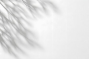 Obraz premium Soft Light Gray Background with Shadow Overlay Elegant Minimalist Texture