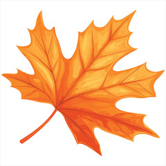 Autumn Maple Leaf Graphic Illustration In Shades Of Orange And Yellow On White