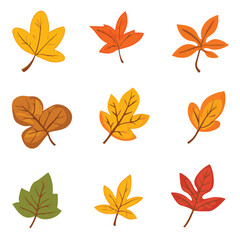 Colorful Autumn Leaves Collection Vector Illustration Of Fall Season Foliage Isolated