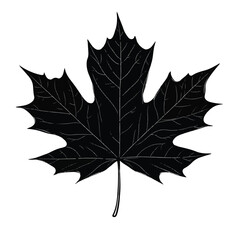 Black Maple Leaf Vector Illustration Simple Design On Isolated White Background