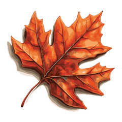 Naklejka premium Isolated Vector Illustration Of A Vibrant Orange Autumn Oak Leaf On White Background