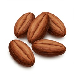 Brown Cocoa Beans on White Background