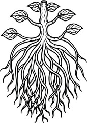 Etched Roots Drawing on White Background