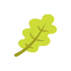 Illustration of a single green leaf with a stem and wavy edges on a white background isolated object