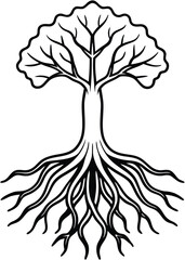 Underground Tree Roots Isolated on White Background