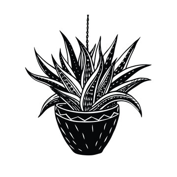 recommend clip art: an aloe vera plant in a hanging clay pot vector silhouette