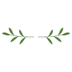 Simple green leaves branch divider © Rihaya Design 