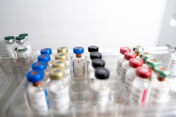Close-up of medical ampoules on white background. Concepcion of veterinary injections, medicine and...