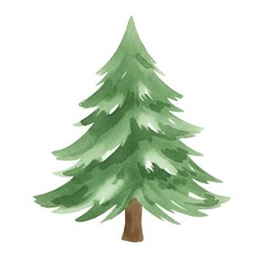 Fototapeta premium Watercolor Painting Of A Green Pine Tree