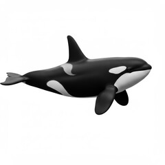Obraz premium Black and White Orca Swimming in the Ocean