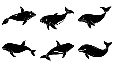 Beluga Whale Silhouette vector illustration