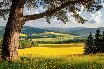 Panoramic, Sunny, Mountain Landscape