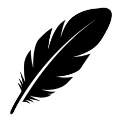 Obraz premium Elegant monochrome feather illustration with textured detail and smooth curved lines