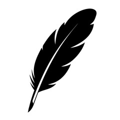 Obraz premium Elegant black and white illustration of a feather with detailed barbs