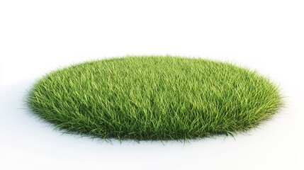 Round lush green grass patch isolated on white background.