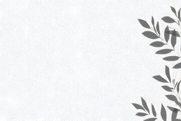 Elegant Gray Leaves on White Background Minimalist Plant Shadow Design