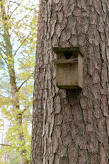 A birdcage is attached to a tree in the forest