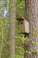 A birdcage is attached to a tree in the forest