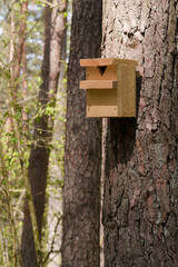 A birdcage is attached to a tree in the forest