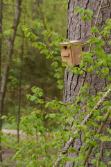 A birdcage is attached to a tree in the forest