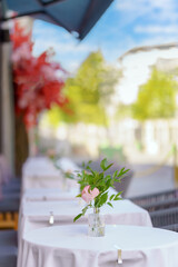 Flower on a table in a street cafe on a table. Catering in the open air.