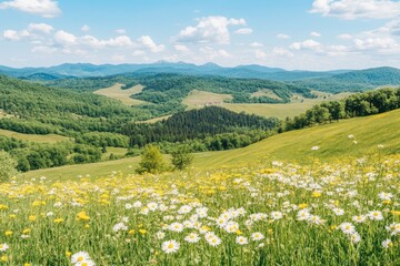 Fototapeta premium Scenic mountain meadow