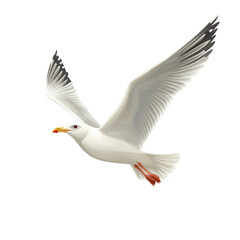 Fototapeta premium Seagull soaring over the ocean wildlife coastal environment aerial view isolated on transparent background