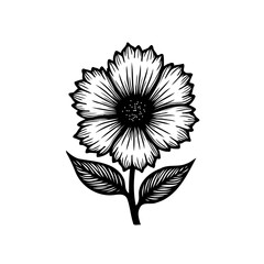 Elegant floral drawing showcasing a detailed blossom with textured petals