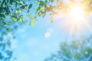 Sunlight through leaves