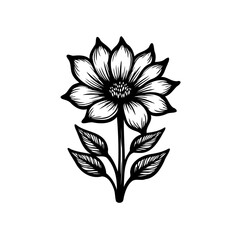 Botanical monochrome illustration of a bloom with intricate linework and shading