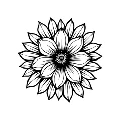 Elegantly rendered monochrome floral illustration with detailed petal layers
