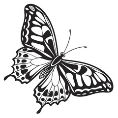 silhouette butterfly clipart on white background