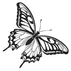 silhouette butterfly clipart on white background