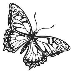silhouette butterfly clipart on white background