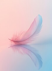 Delicate feather reflected on a pastel surface