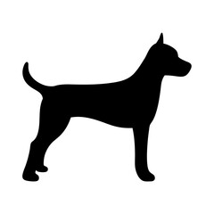 Striking silhouette of a confident canine, embodying strength and noble posture