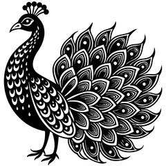 creative details beautiful pecock icon  Vector Illustration