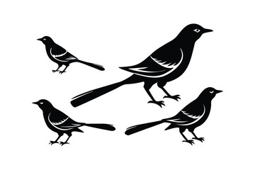 Mockingbird Silhouette Various Poses and Sizes Vector Design