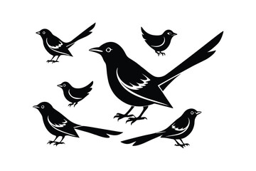 Mockingbird Silhouette Various Poses and Sizes Vector Design