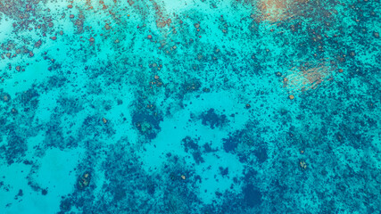 A stunning aerial view of a tropical coastline featuring lush green forest, a vibrant turquoise coral reef, and deep blue ocean waters. the natural beauty of marine and coastal ecosystems.