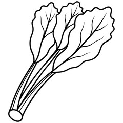 Rhubarb outline vector