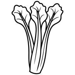 Rhubarb outline vector