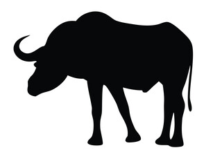 buffalo silhouette, buffalo vector silhouette