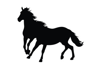 Vector silhouette of two horses running