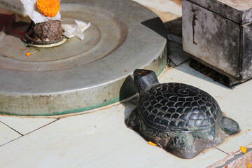 Ritual Stone Tortoise Figure in Front of Shiva Lingam at Hindu Temple